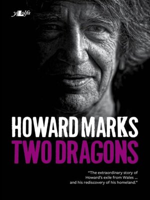 cover image of Two Dragons